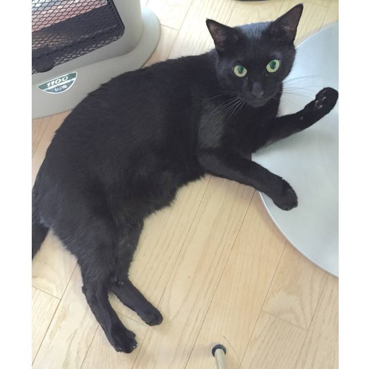 Af98c8ac bd1b 40a8 a0ad 37ec2a588808