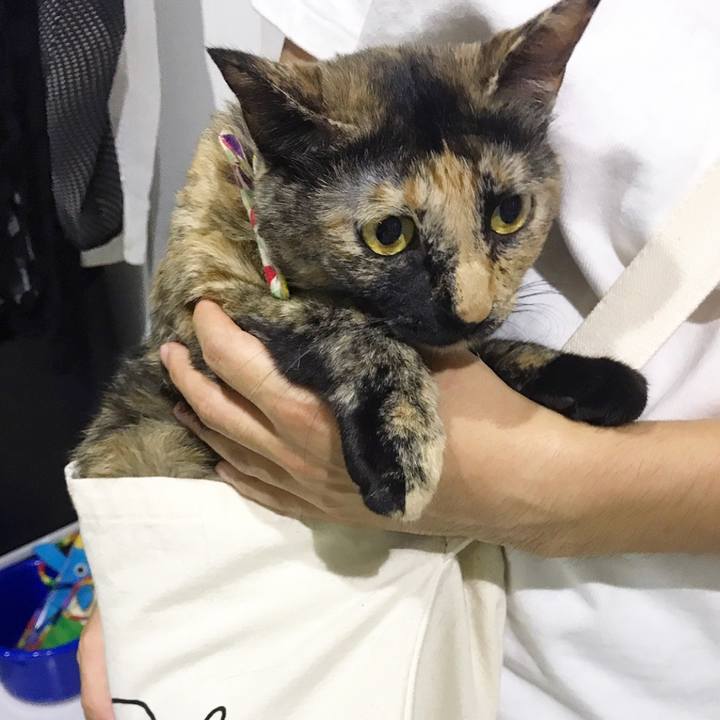 Af997a52 6192 4a5b ac6e 126aed4d089c