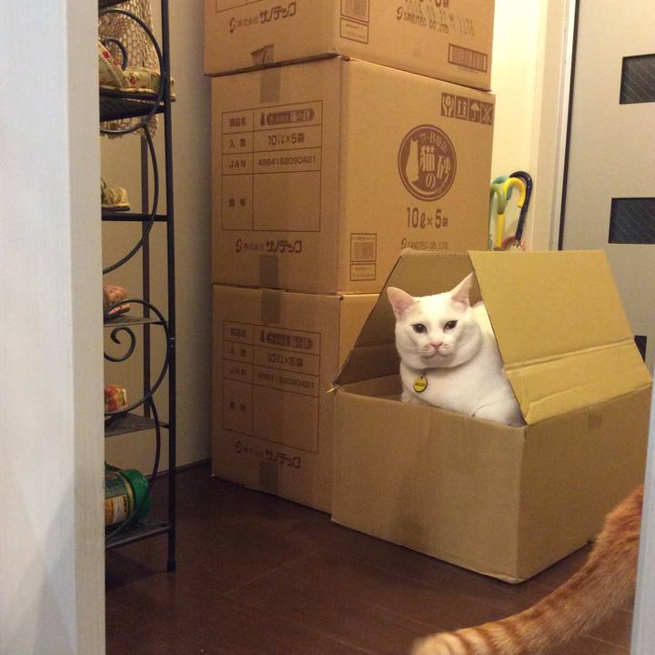 Af9a2183 9e11 471c b496 fe8ab6e0d14b