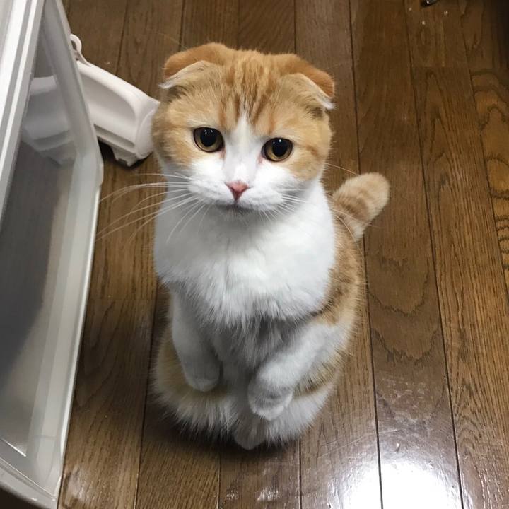 Af9b558e 8908 47a5 9928 cca89804966e