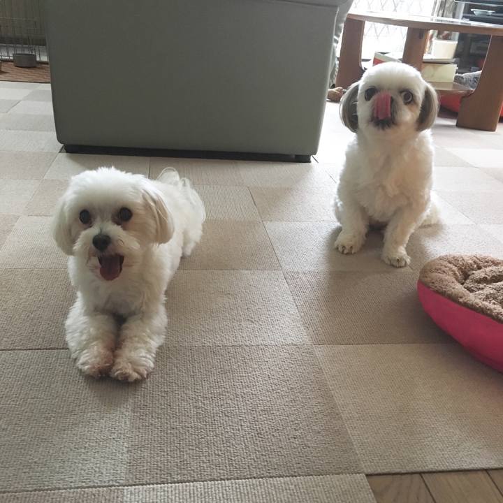 Af9bc5ea c74c 4fb1 96d9 2ffbca7183a4