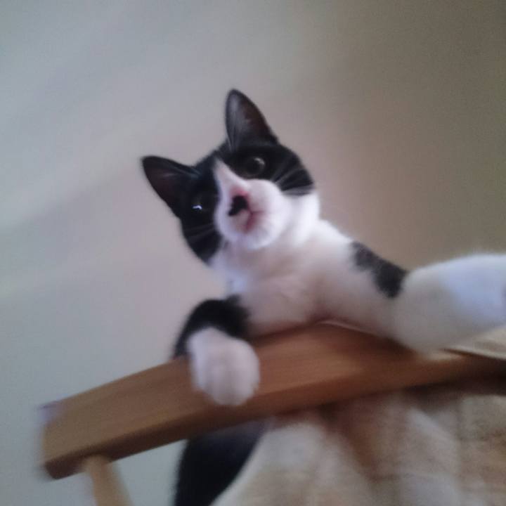 Af9bd279 a054 426e bb8b f91791858115