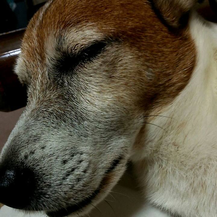 Af9c44db 3272 4aca 9173 92aa55c8a847