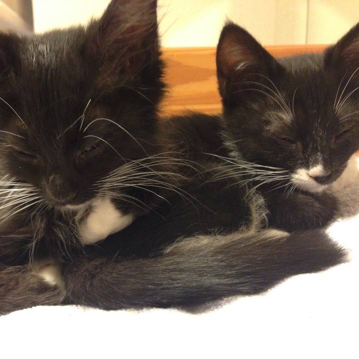 Af9ed0aa b7b2 49aa 99c7 58878e4ba532