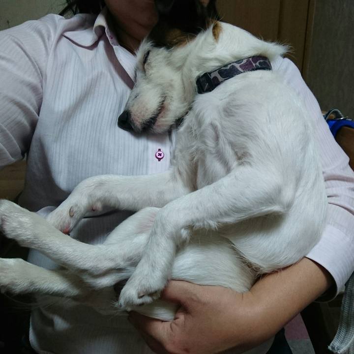 Af9f1e5f b135 438e bfa0 7ace0785ac18