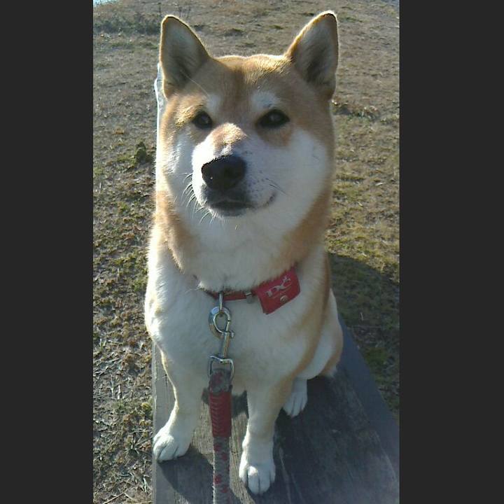 Afa04d33 b596 4b9c be3e ba6b879b4a45