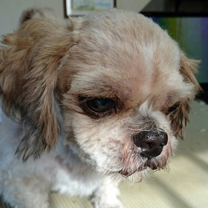 Afa07969 e556 439d 89d4 1e80a56c7b00