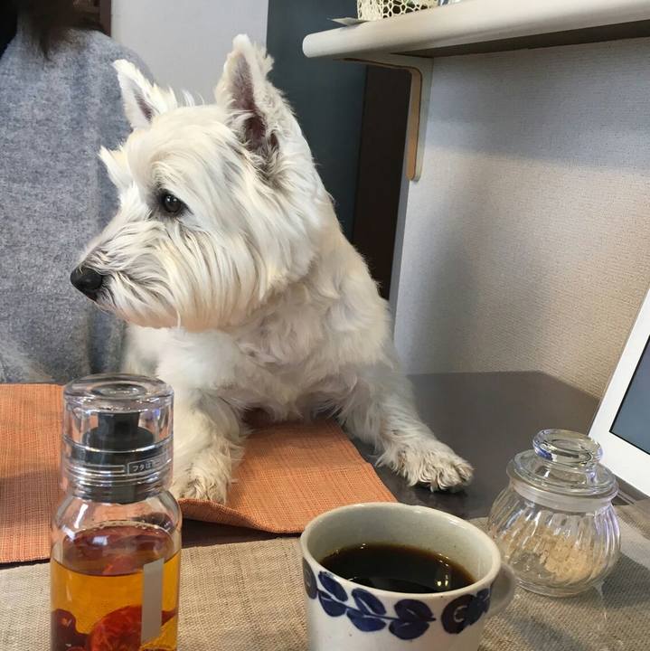 Afa0895b d581 4acc b5a0 e9e57f15ca1b