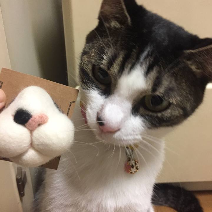 Afa0b45b c8f1 4fe1 8fe1 08309413af00