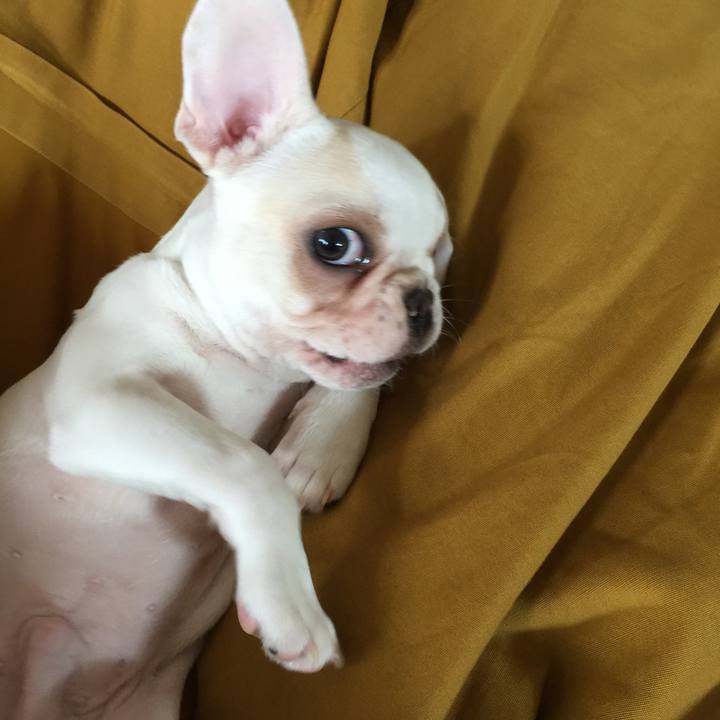 Afa160e6 3db7 43af a80c be08f7b2298c