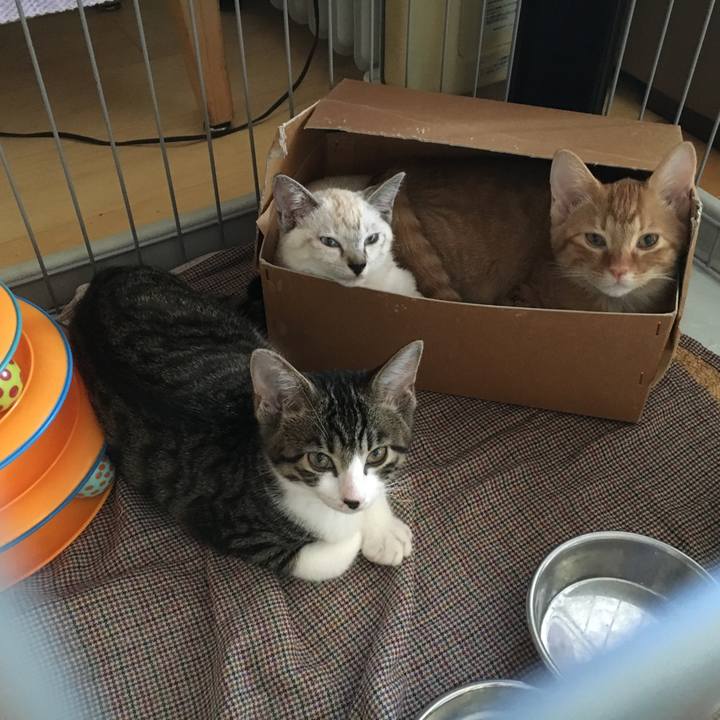 Afa187cb d01d 48ea a9c8 62283d903885