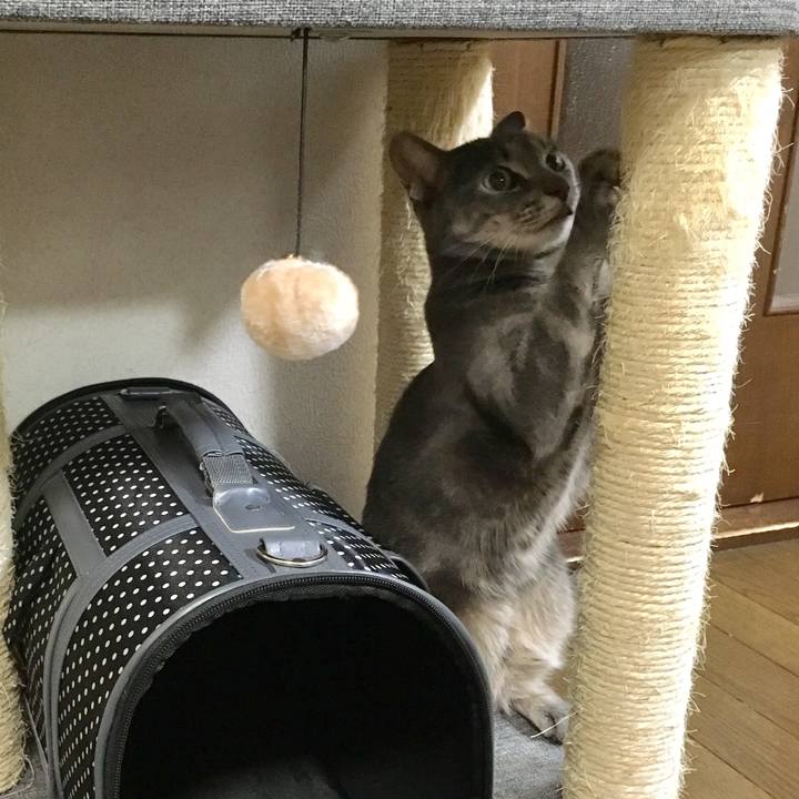 Afa201a9 0f42 4e43 9a1d 4fd2a57317be