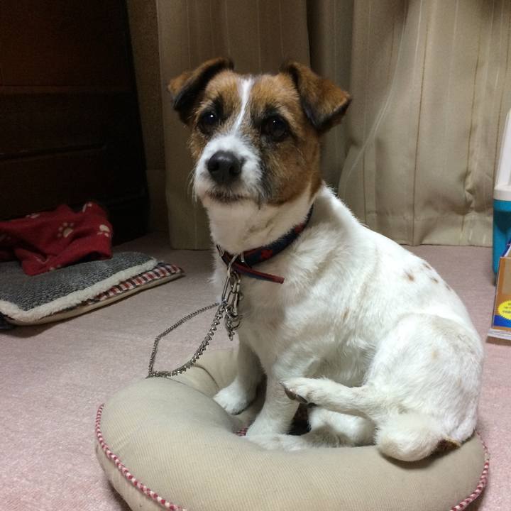 Afa2bbc4 fbd1 4a20 b654 037427a79d34