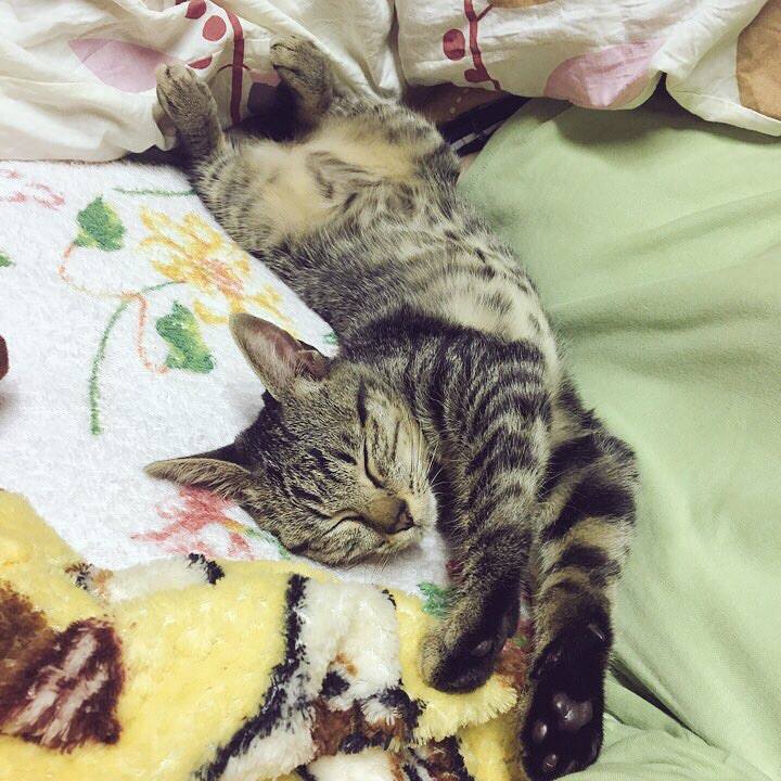 Afa2dcca 537a 4d48 84ac 2bcaa689af97