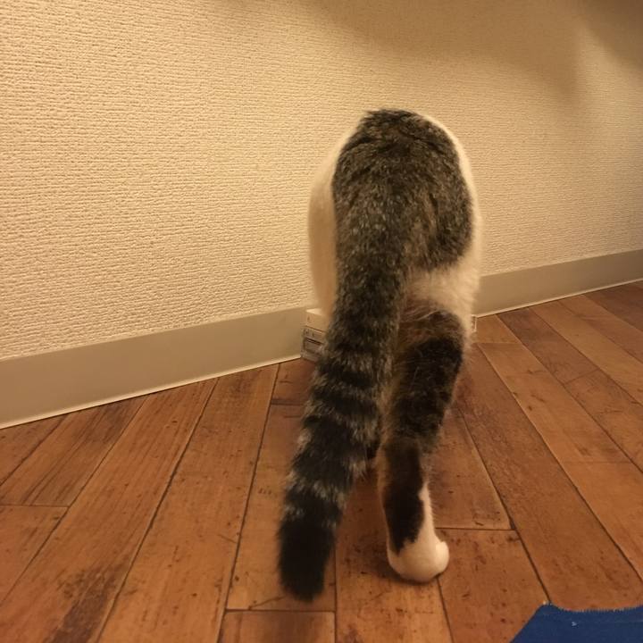 Afa491a0 1593 4073 b2ec b367a0af02fa