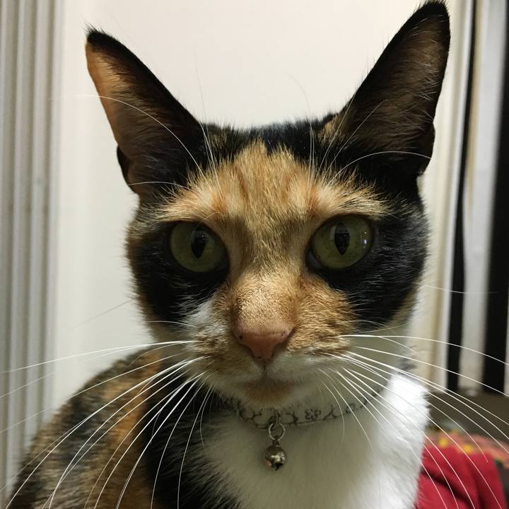 Afa49690 a125 47e2 9b4a dba78a44e2a0