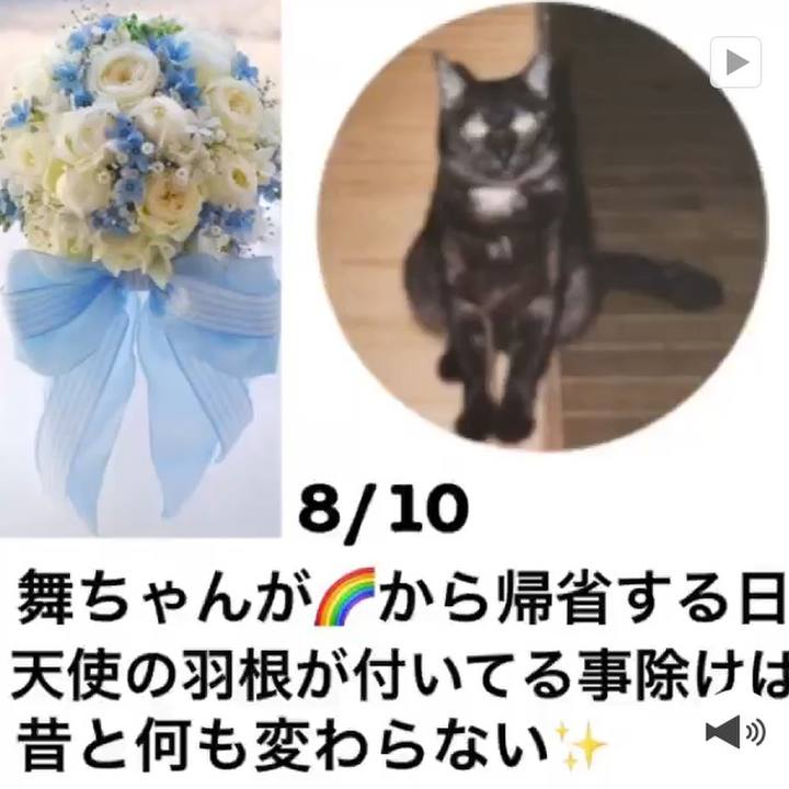 Afa4c41e d206 4298 8f2a d589f81d5376