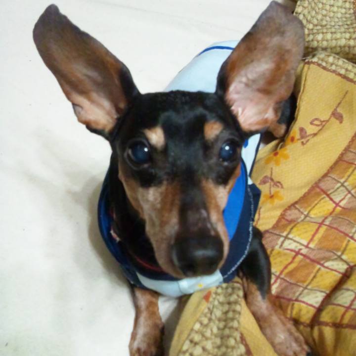 Afa56b34 f416 405f 80d4 87ba345b1cb8