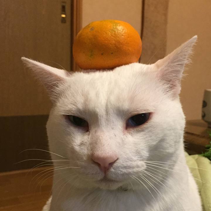 Afa57e05 8773 49b3 806b e902dc7f1139