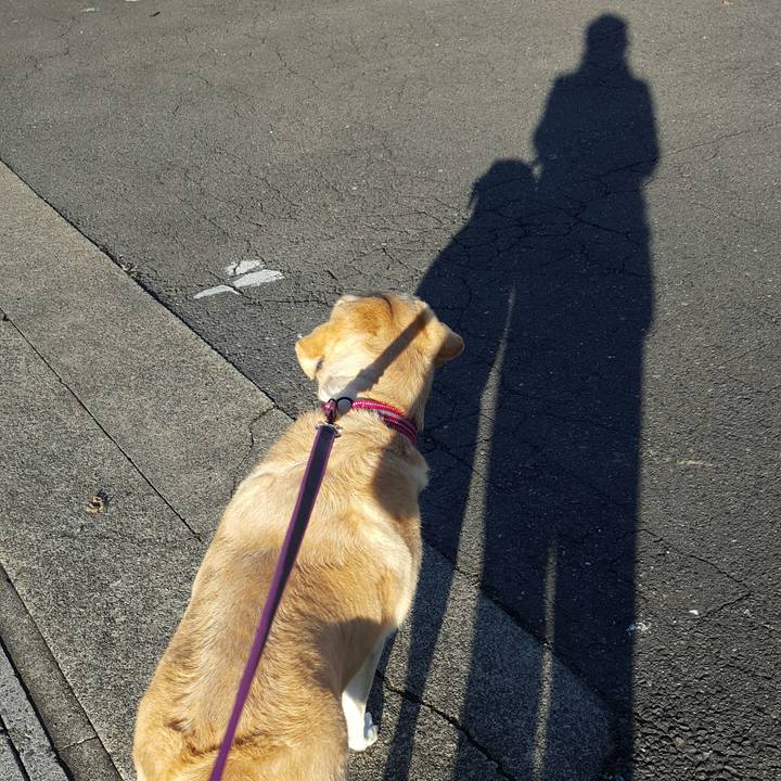 Afa5a52d a1a5 4a10 b5fa d07712783fa4