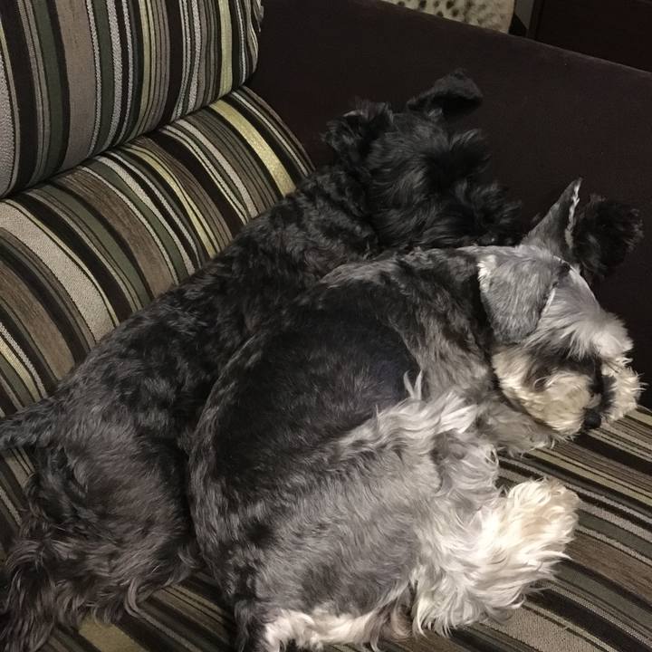 Afa63f13 9cc7 456d aca8 49586526955e