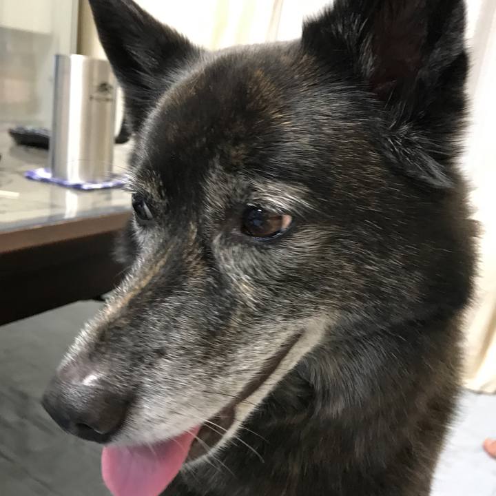 Afa69282 ebef 4644 a477 c03c3188230e