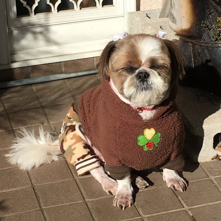 Afa782cb 8d71 4bb7 aaad 1b106ac7f8c3