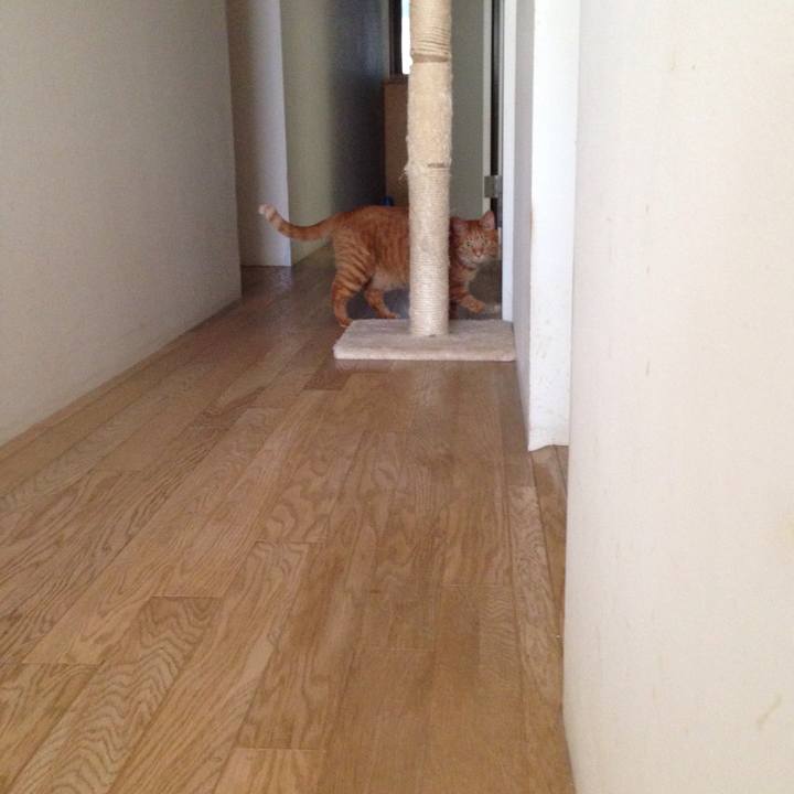 Afa7e326 a497 42bf 8109 894bd2cc8a5d