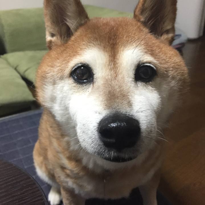 Afa7f719 bd90 4542 a2cc 1ef8e6db97d5