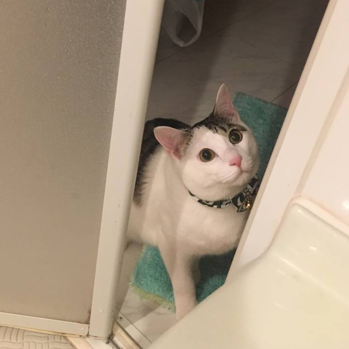 Afa87fc2 25f3 43b3 a71f f1f6ca66a3cd