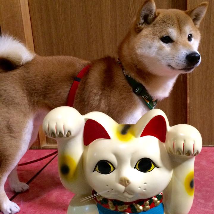 Afa8e6a0 034c 4a24 ac06 2dbdb749fcb8