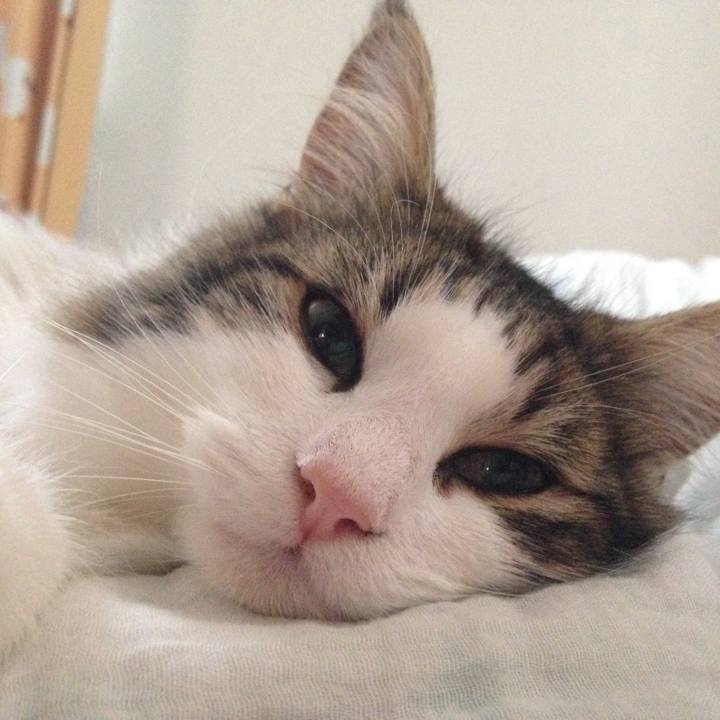 Afa908b6 45c4 4662 a81c 9223819d0b64