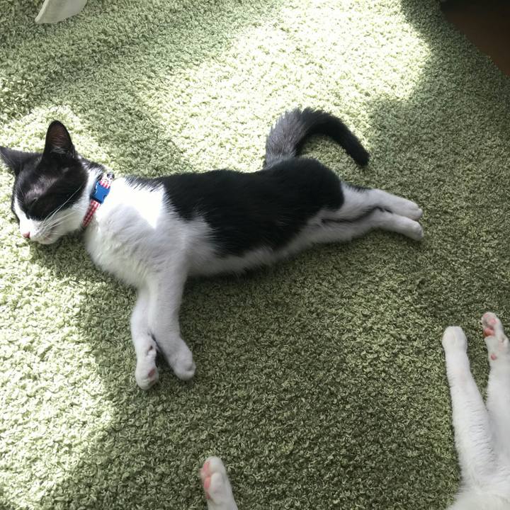 Afa9962f eb90 4e27 88e6 ddfdf5fe893d