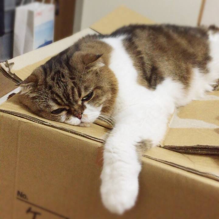 Afa9f82a 0ed3 4b8d b3b6 1675c9319384