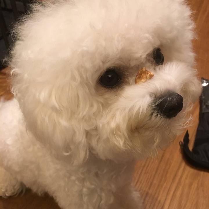 Afaa1ea2 60eb 44f9 86b6 c803a9c42ac8