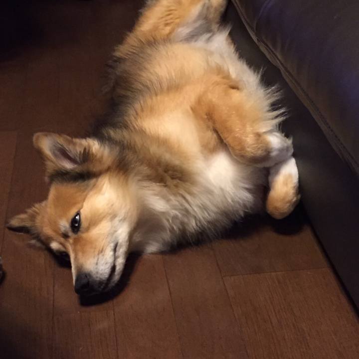 Afaaafe4 eae5 4381 9b1b 4ba4faa9cd18