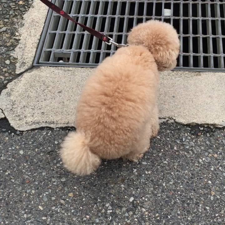 Afab39f6 106a 4ad1 a643 f82cc94e82ab