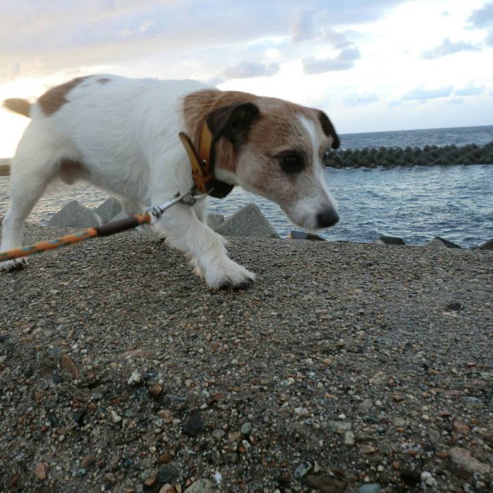 Afab9105 9496 4652 b55c b05cca2f3bf5