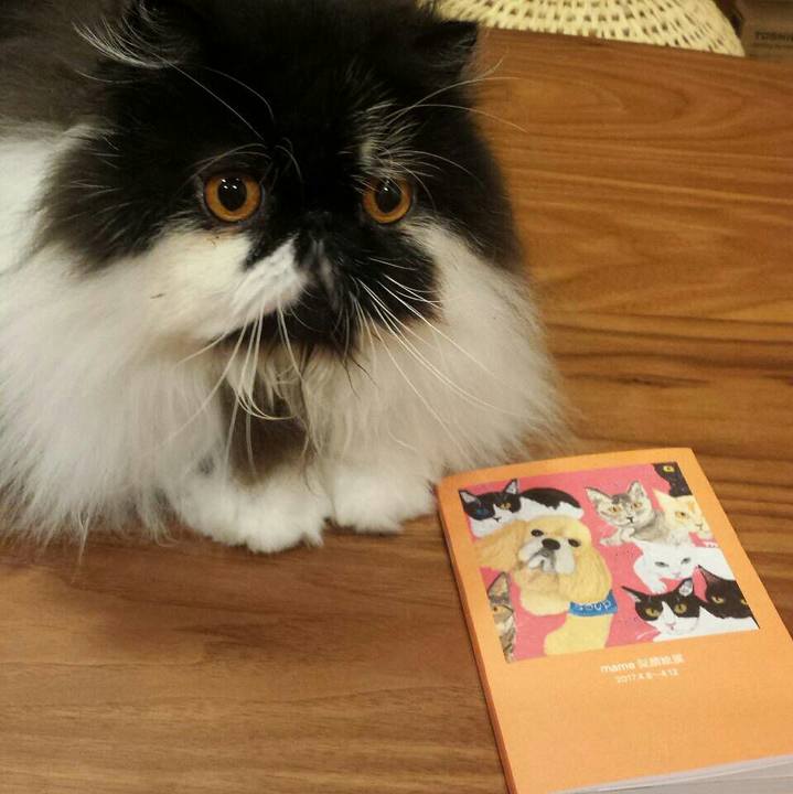 Afac6648 97a8 468b 8eec a85f6c4c8e9a