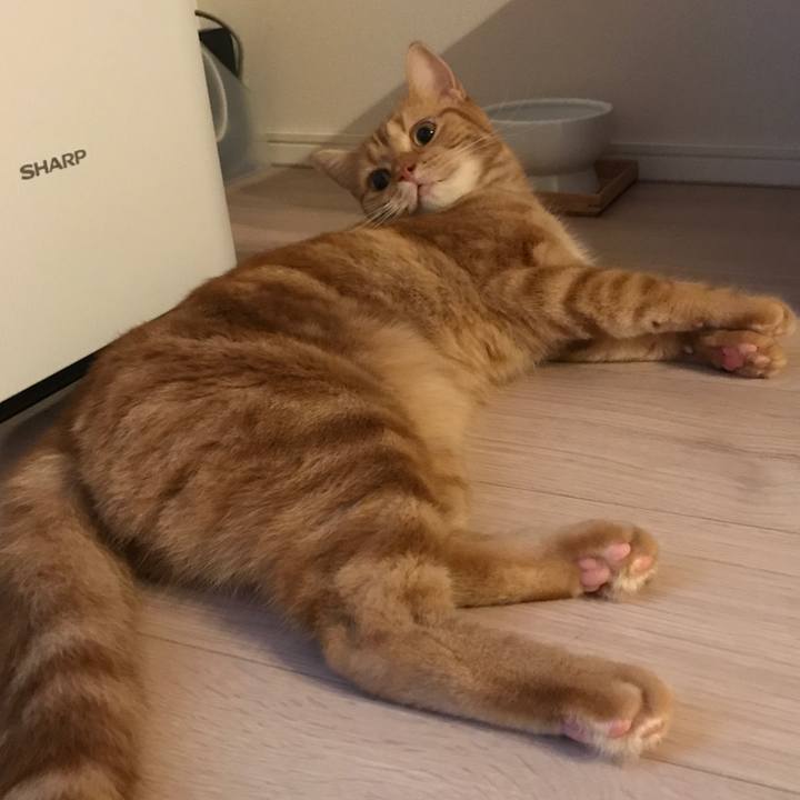 Afacea93 47f9 4ceb 9fe7 90f9dffc843b