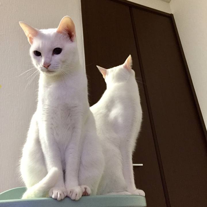 Afae23f2 cc7f 45da ac89 a43b75d5a537