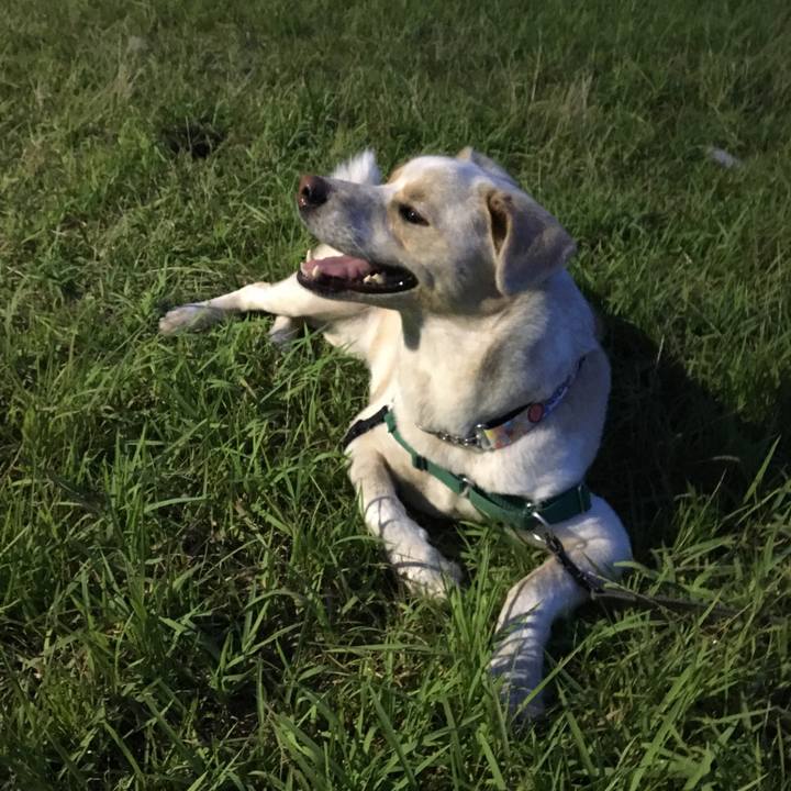 Afaf8315 e271 4898 ae25 df10fca8bc43