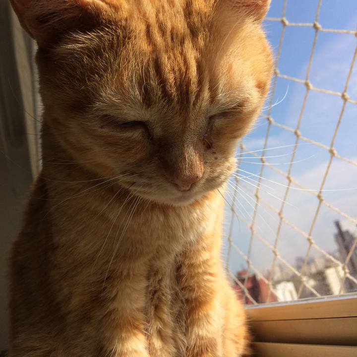 Afaff068 3479 4a07 b1c5 7647b7765242