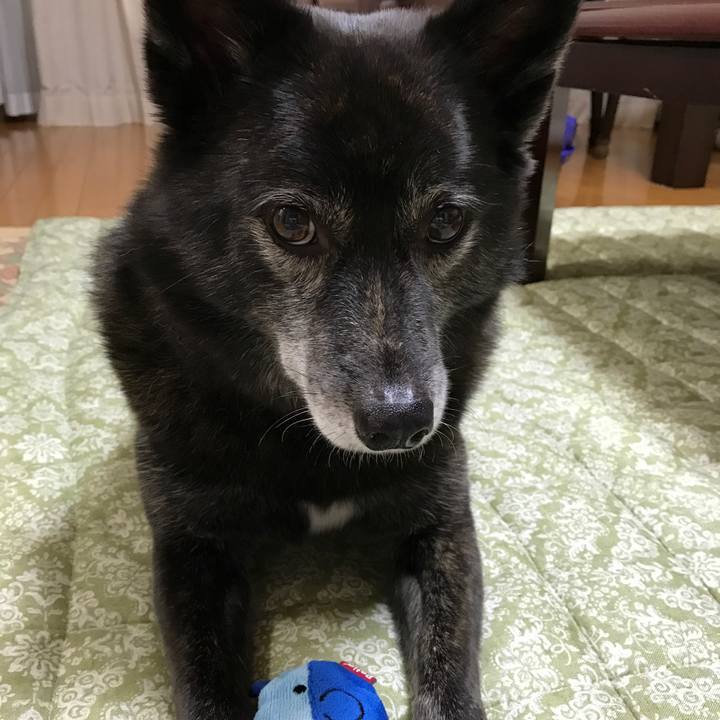 Afb03aab 5027 4566 9a3f 7d7097b123c3