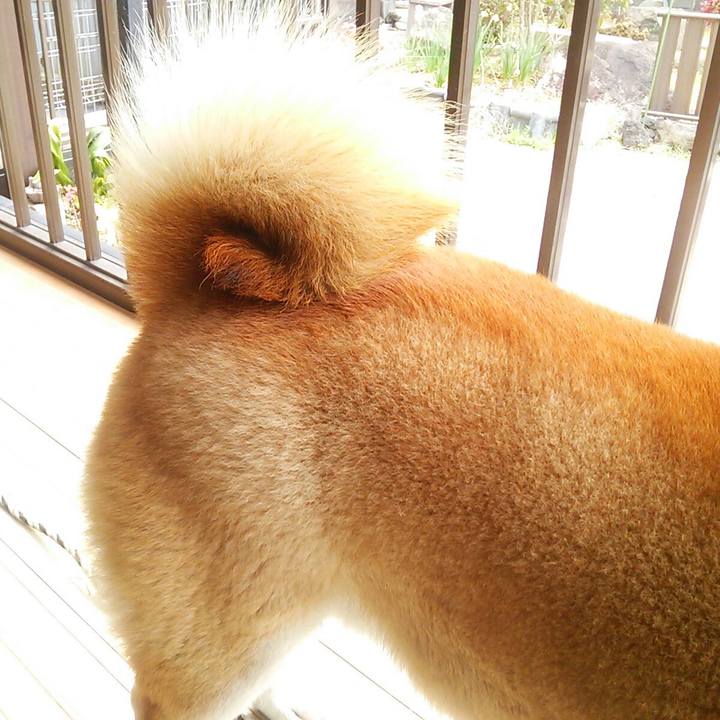 Afb0a7f0 e44f 4293 948c a108e49fa17f