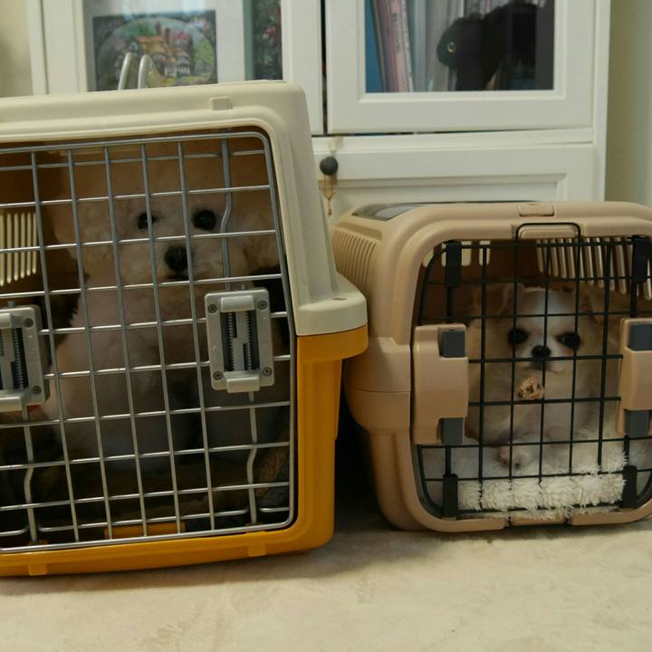 Afb13a55 d08d 46c5 b82d 1fe3e59fe930