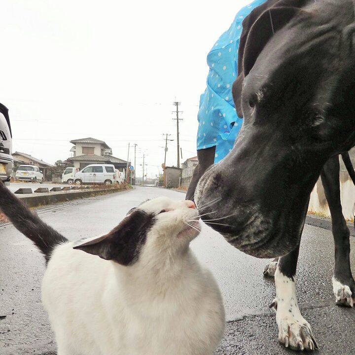 Afb19714 071b 47e7 a1c4 505d4477e674