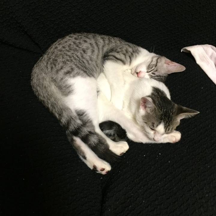 Afb2aea6 8367 4956 8fd6 37e5db986ceb