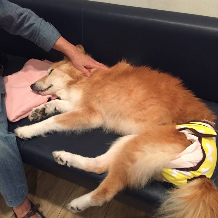 Afb2daee df81 4bfe 8d5e a094a7d9cc1c