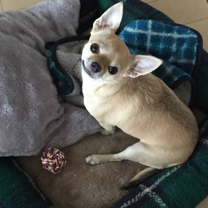 Afb32690 d708 4575 8e14 4c121a7d71b3